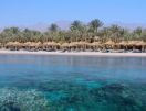 JAZ SHARM DREAMS RESORT